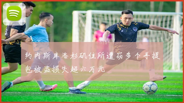 约内斯库洛杉矶住所遭窃多个手提包被盗损失超六万元
